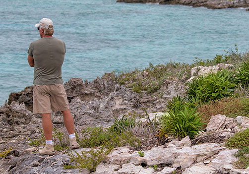 Greg Norman Real Estate